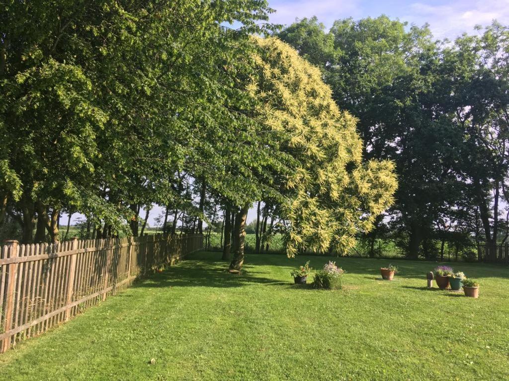 Lemondrop Cottage Southburgh Esterno foto