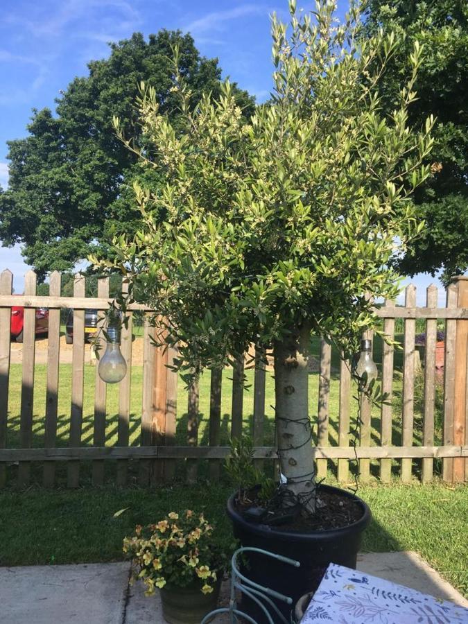 Lemondrop Cottage Southburgh Esterno foto
